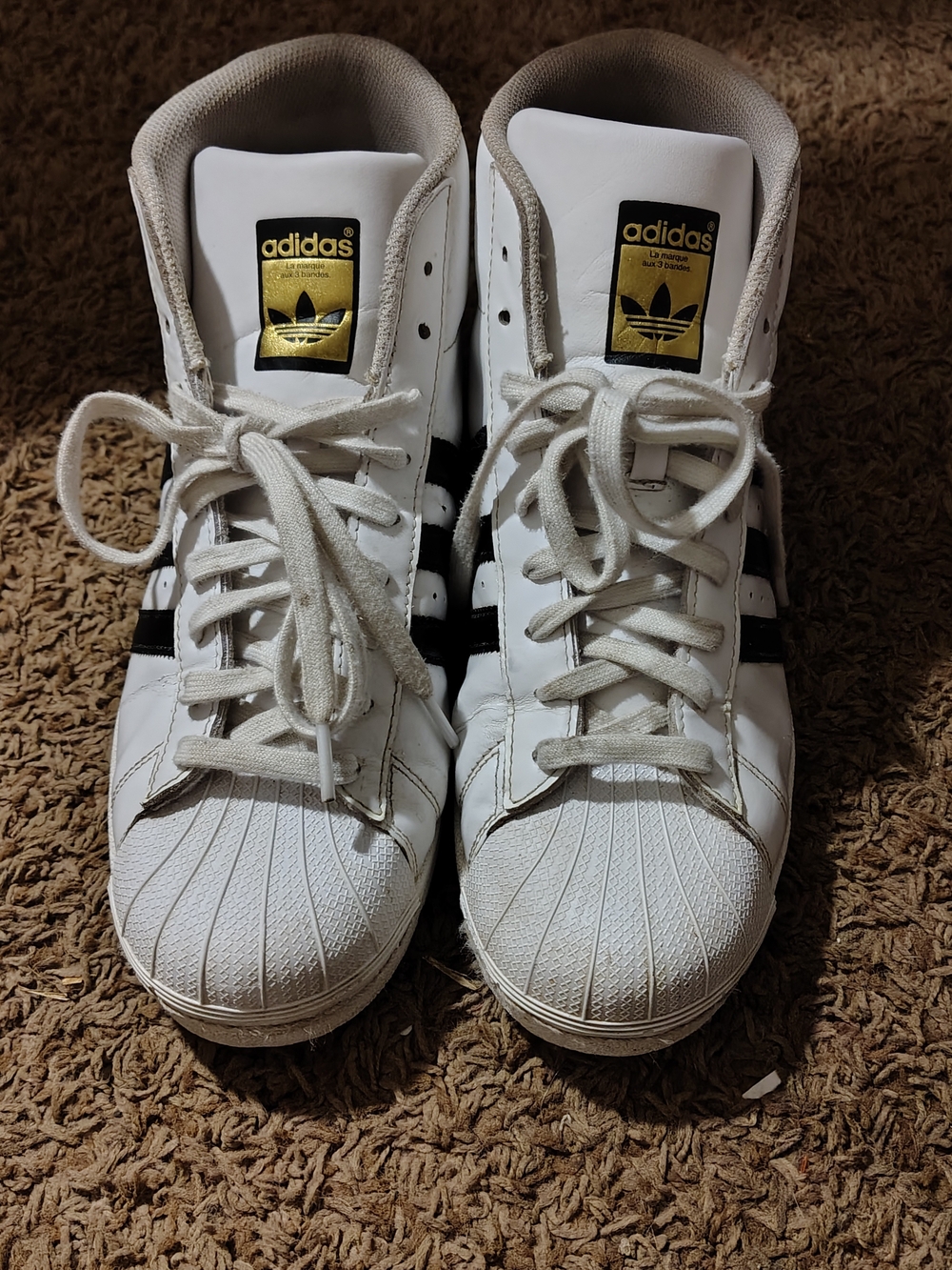 Adidas White & Black " Pro Model " High-Top Sneakers with Gold Logo